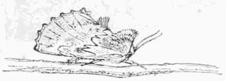 Fig. 11. Fig. 11.