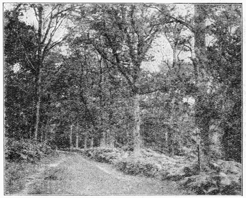 Fig. 12. Fig. 12.