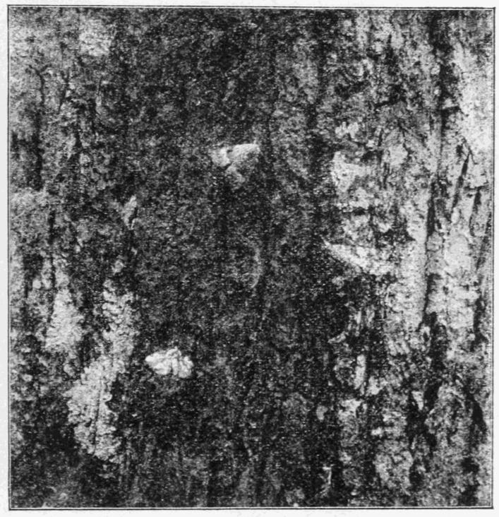 Fig. 13. Fig. 13.
