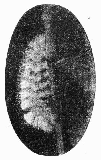 Fig. 16. Fig. 16.
