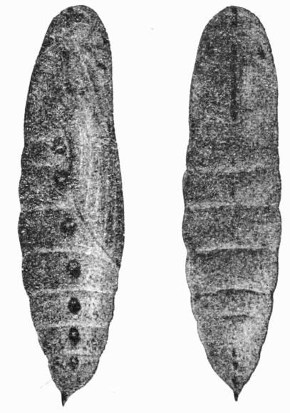 Fig. 18. Fig. 18.