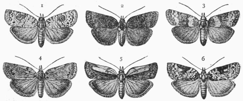 Fig. 23. Fig. 23.