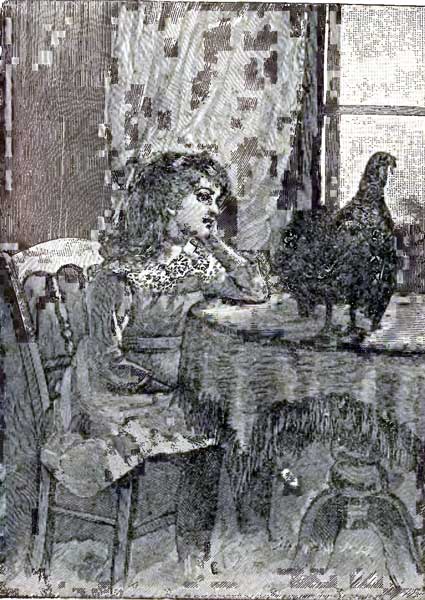 live turkey on table