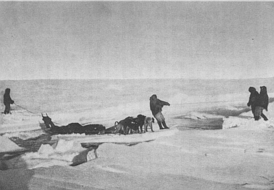 CROSSING A LEAD ON AN ICE-CAKE AS A FERRY-BOAT CROSSING A LEAD ON AN ICE-CAKE AS A FERRY-BOAT