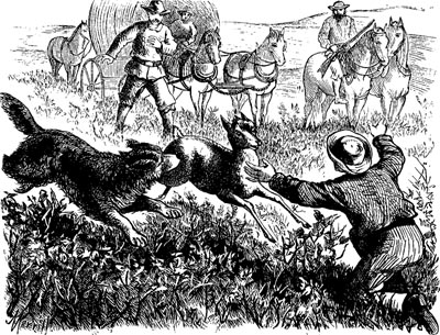 A TRUE ANTELOPE STORY. A TRUE ANTELOPE STORY.