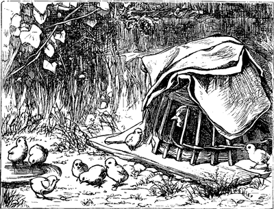 THE UNMOTHERLY HEN THE UNMOTHERLY HEN