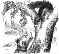 Bunny up a tree
