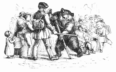 Dandy the Bear