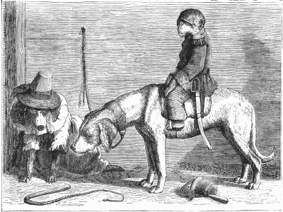 John Ray's Performing Dogs John Ray's Performing Dogs