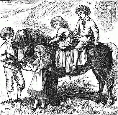Our Pony Our Pony