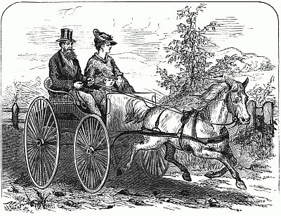A Morning Ride A Morning Ride