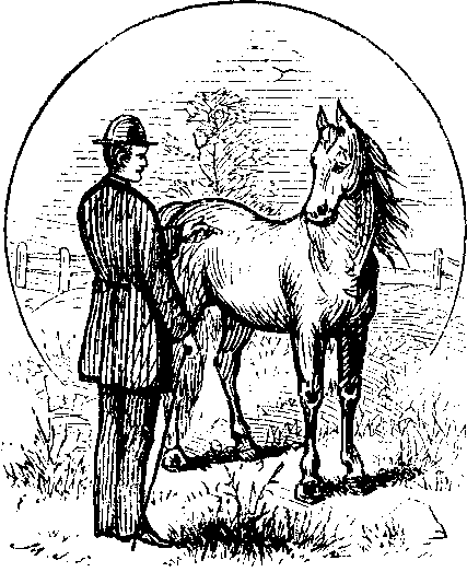 Father & Horse