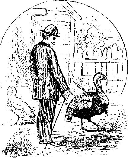 Father & Turkey