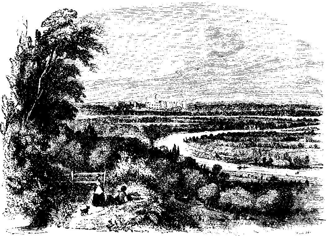 View from Cooper's Hill