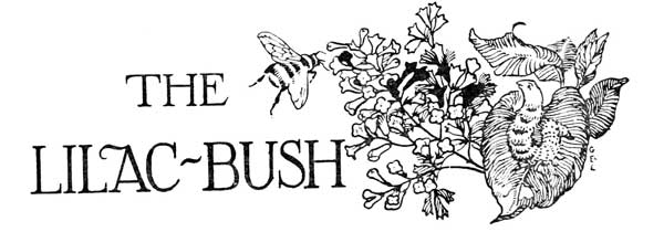 THE LILAC-BUSH