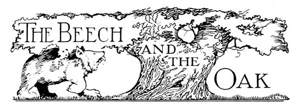 The Beech and the Oak