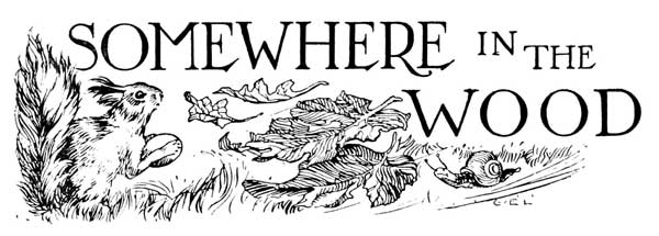 Somewhere in the Wood