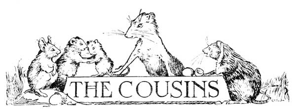 THE COUSINS