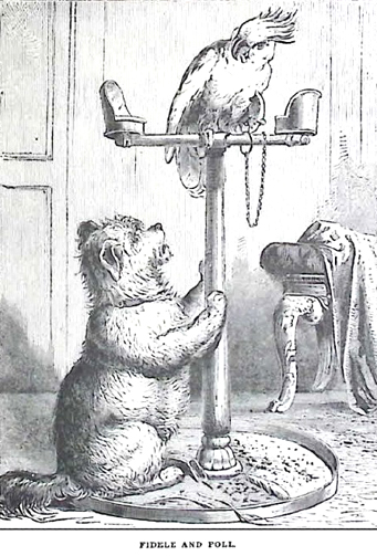 image036