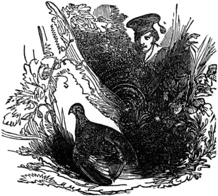 end of chapter illustration, page 79