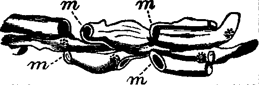 Illustration: Fig. 2.