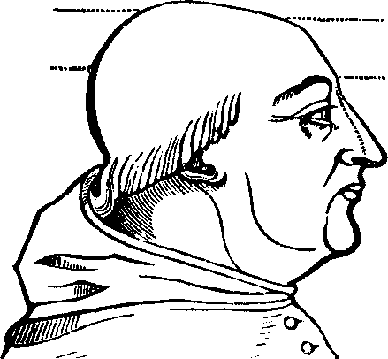 Illustration: Fig. 73. is a representation of the cranial conformation of Alexander VI.,