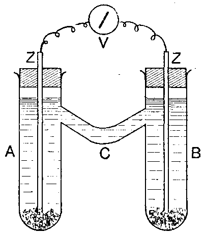 Fig. 134