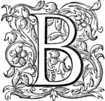 Stylized B