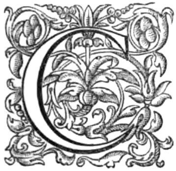 Stylized C