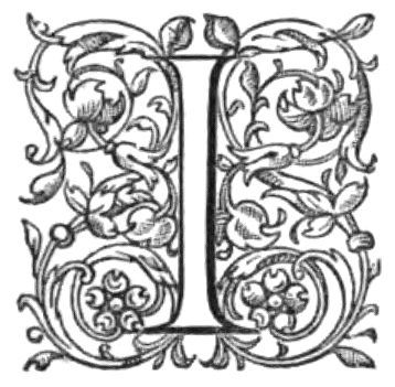 Stylized I
