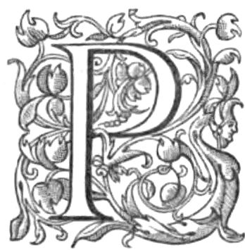 Stylized P