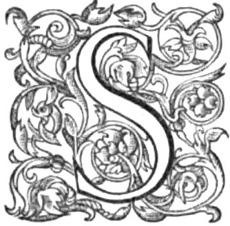 Stylized S