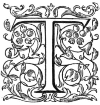 Stylized T