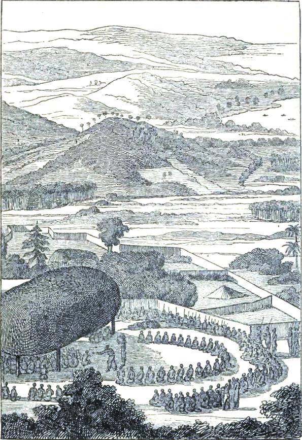 Fête in honour of D'Entrecasteaux at the Friendly Islands