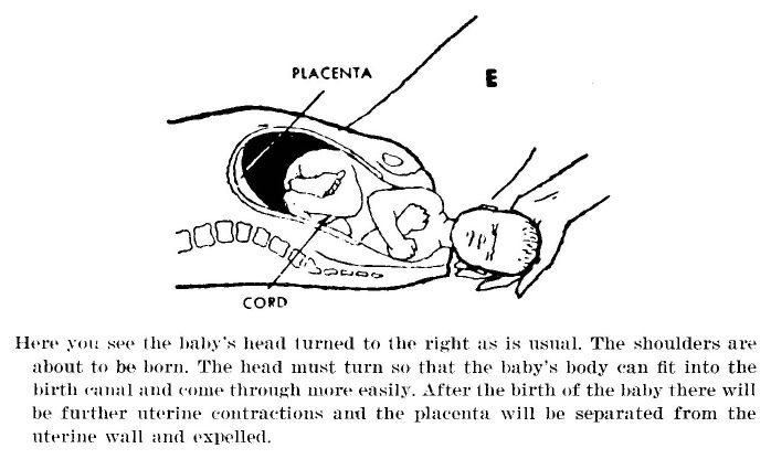 Figure 4E