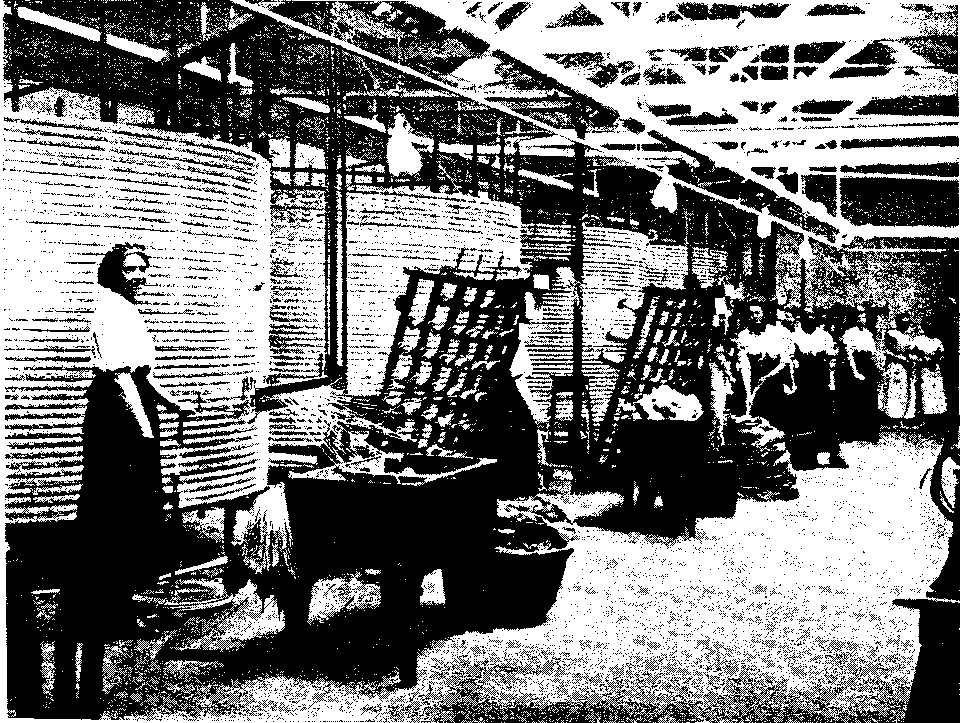 FIG. 27 A ROW OF MODERN WARPING MILL