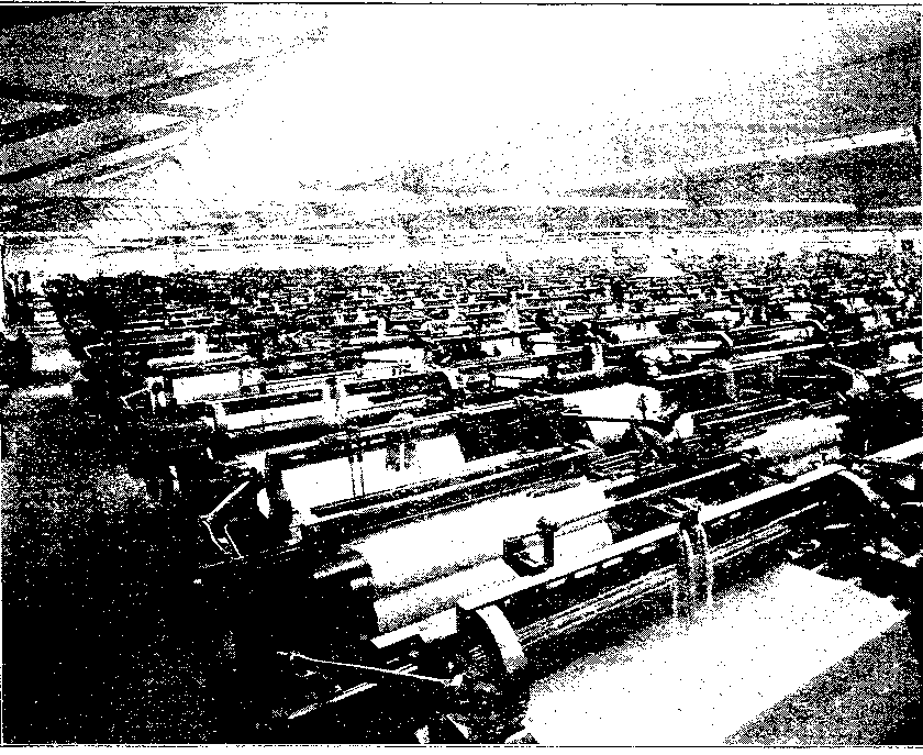 FIG. 36 LOOMS DRIVEN WITH INDIVIDUAL MOTORS