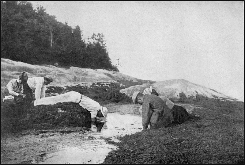 The Natural History Club had Frequent Field Excursions