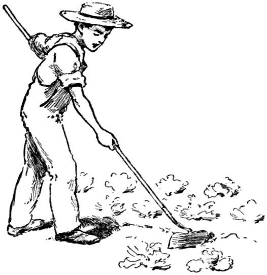 Hoeing away in his garden