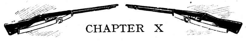 image: chapter_10.jpg