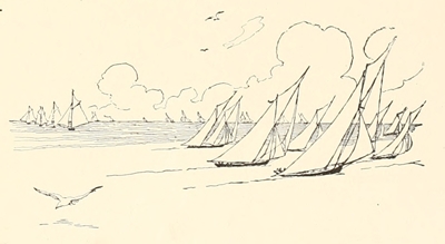 the yacht race