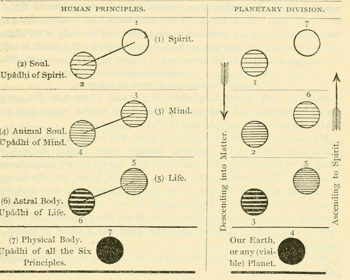 Diagram I