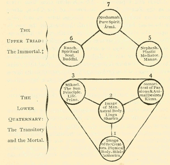 Diagram IV