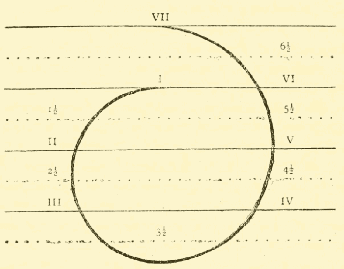 Illustration: Evolution of Root-Races in the Fourth Round