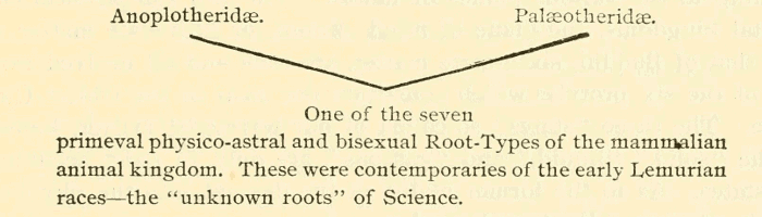 Illustration: The Root
