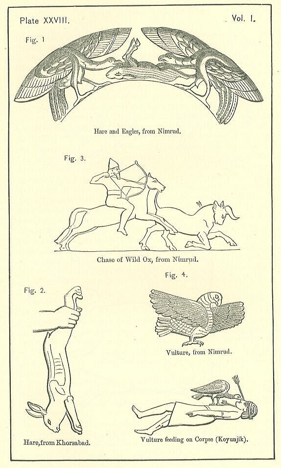 Plate 28 