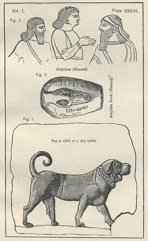 Plate 33 