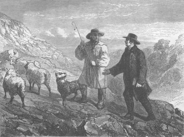 shepherd