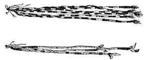 Strings of Black and White Wampum Shells.