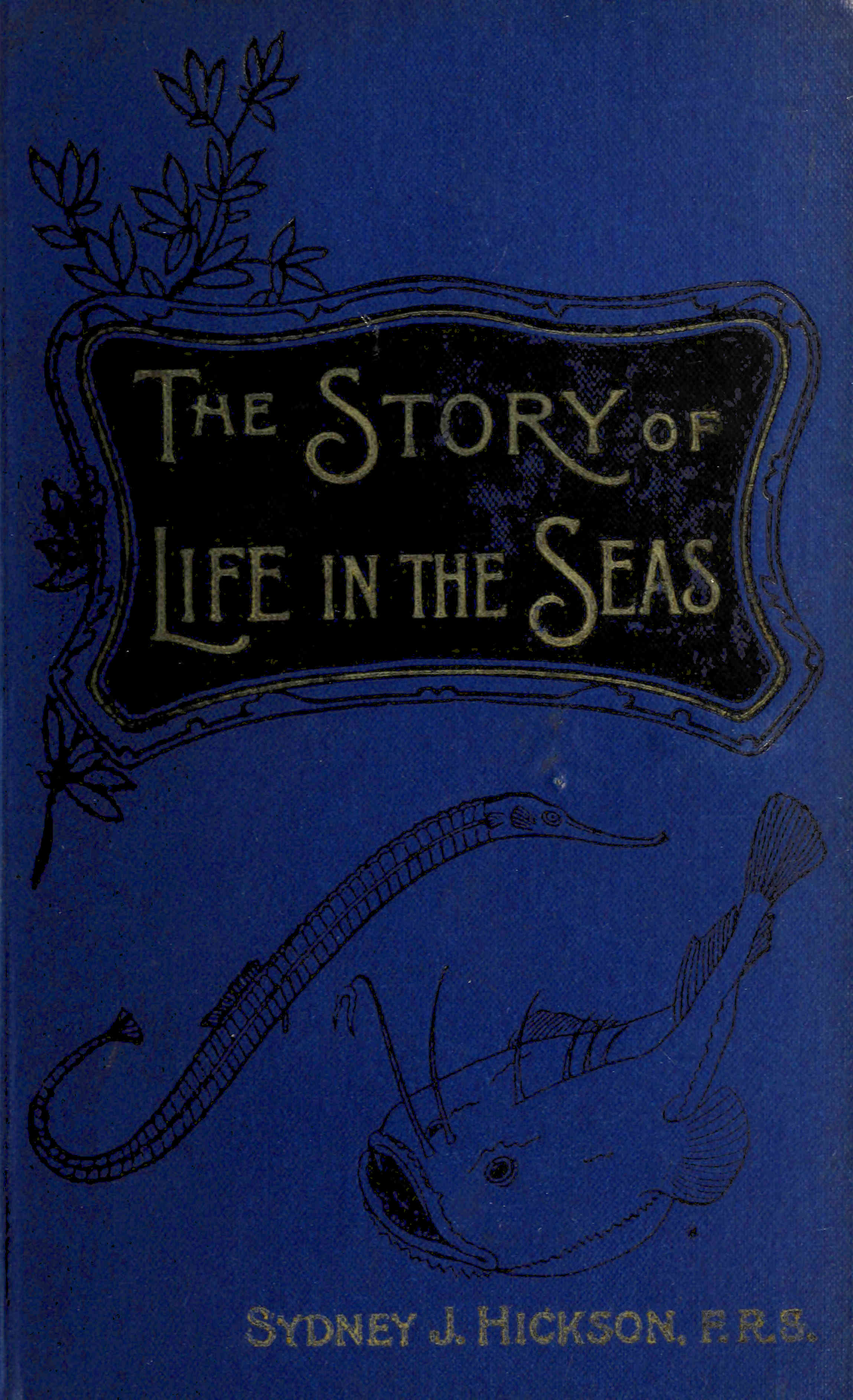 Book cover: The Story of Life in the Seas